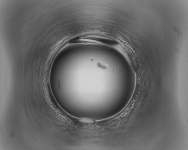 X0000112770193200908201515