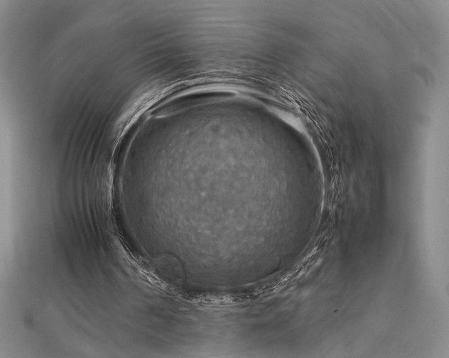 X0000112770194200908201515