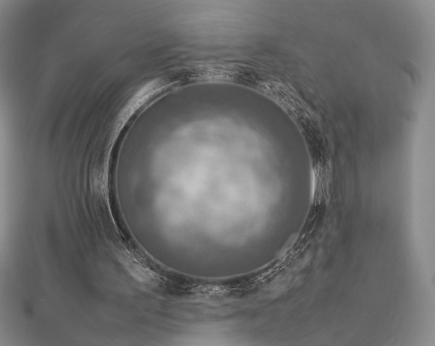 X0000112770195200908201515