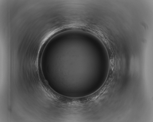 X0000112770196200908201515