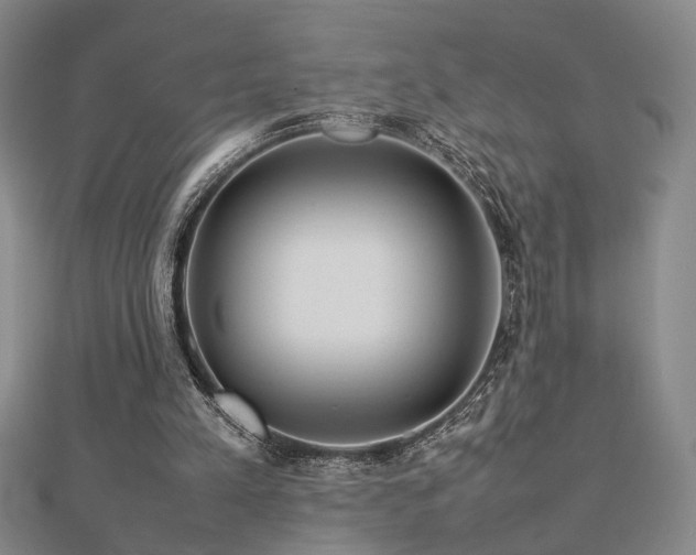 X0000112770197200908201515