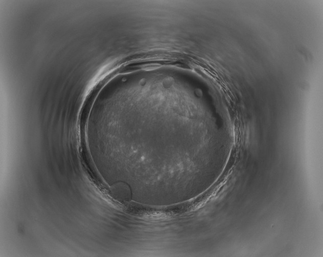 X0000112770198200908201515