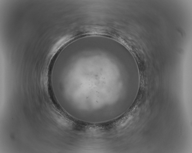 X0000112770199200908201515