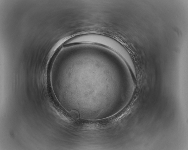 X0000112770200200908201515