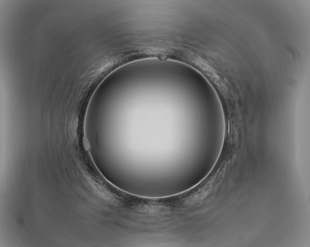 X0000112770201200908201515
