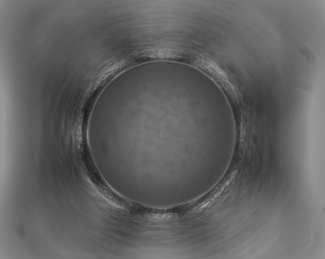 X0000112770202200908201515