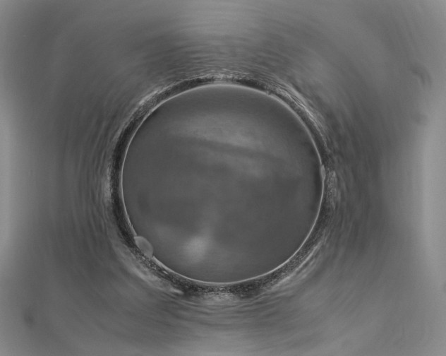 X0000112770203200908201515