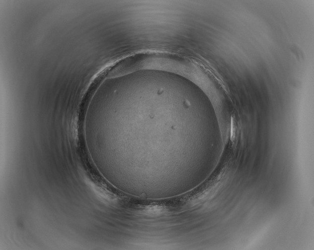 X0000112770204200908201515