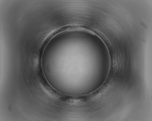 X0000112770208200908201514