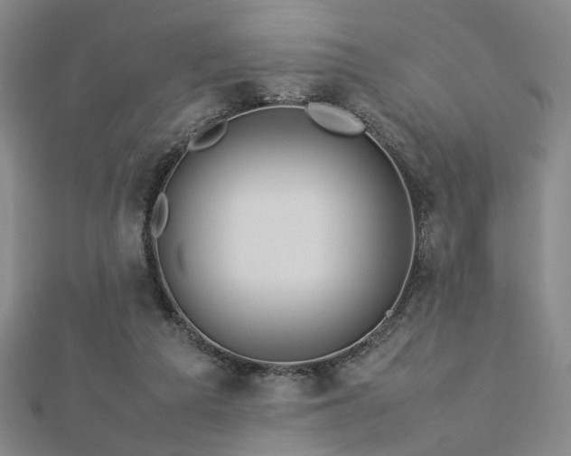 X0000112770209200908201514