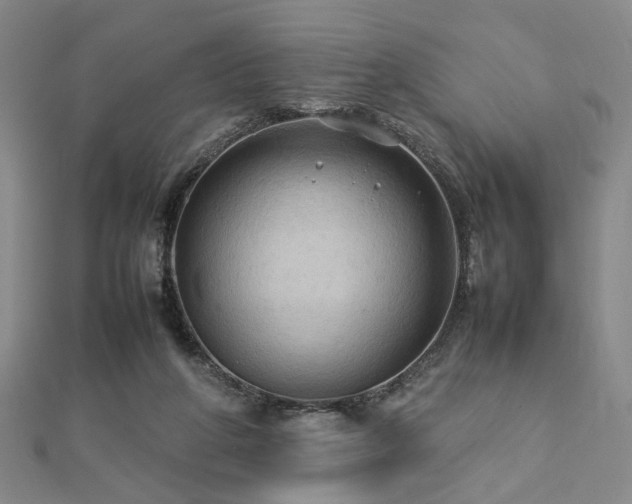 X0000112770210200908201514