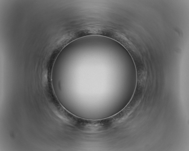 X0000112770213200908201514