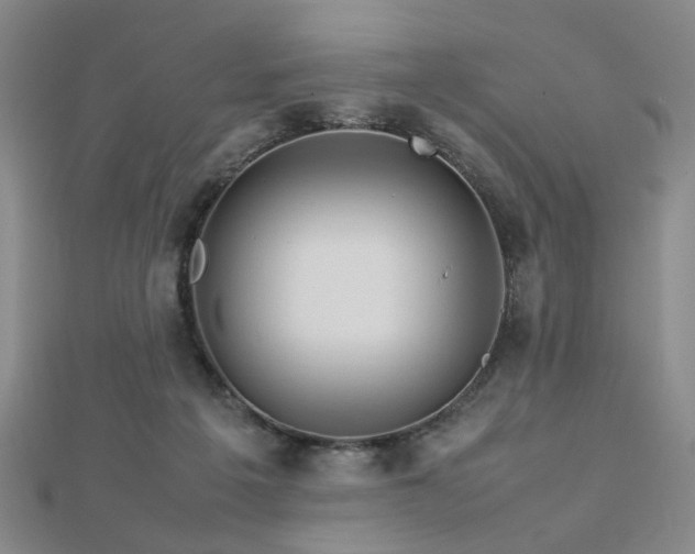 X0000112770217200908201514