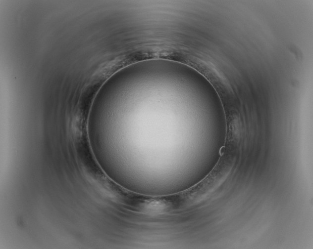 X0000112770218200908201514