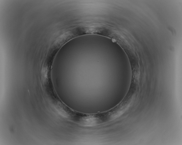 X0000112770219200908201514