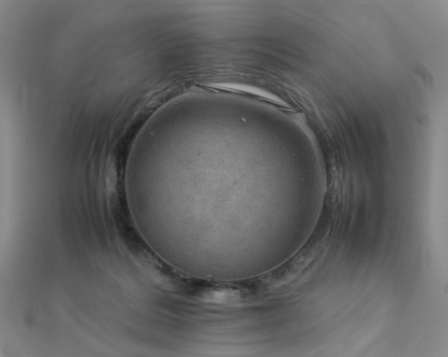 X0000112770220200908201514