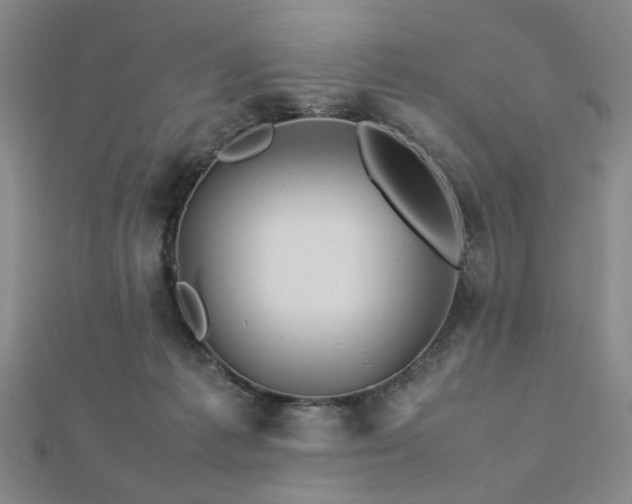 X0000112770221200908201514