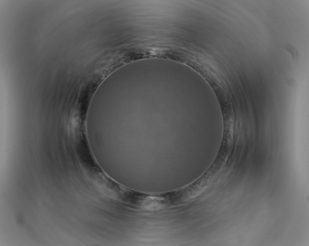 X0000112770222200908201514