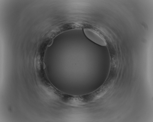 X0000112770223200908201514