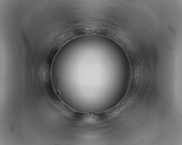 X0000112770226200908201514