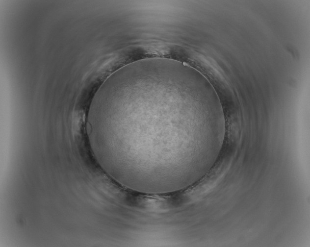 X0000112770229200908201514