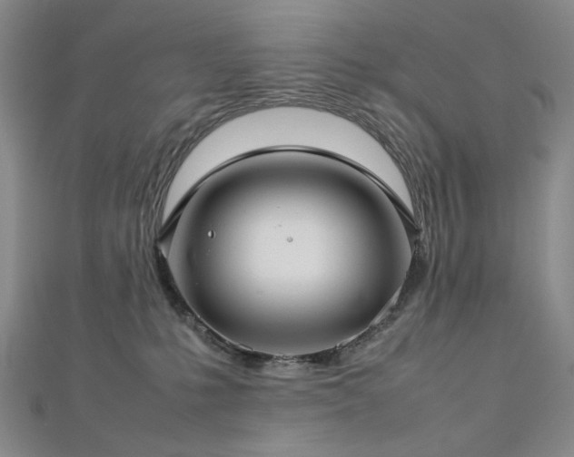 X0000112770231200908201514