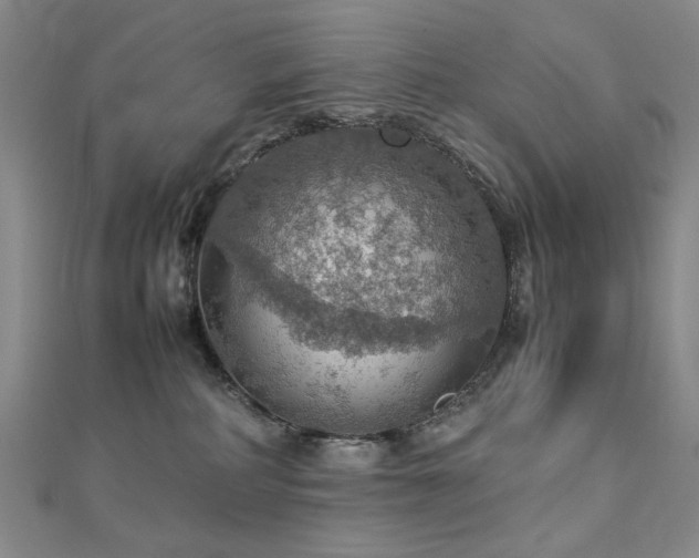 X0000112770234200908201514