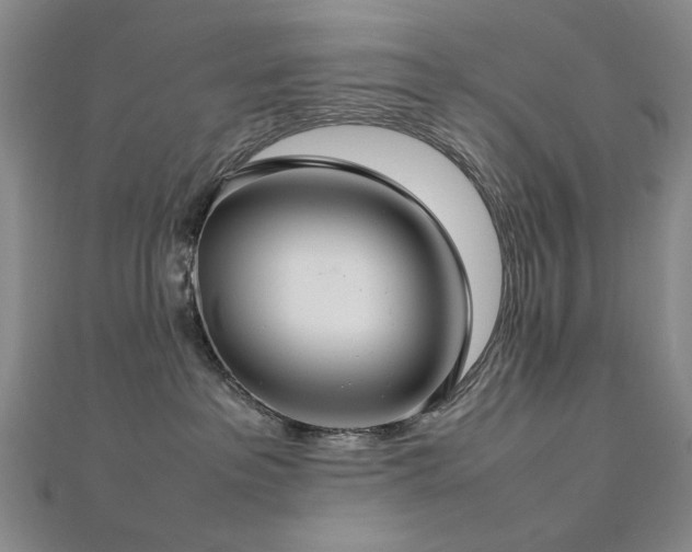 X0000112770237200908201514
