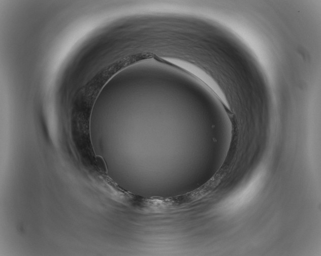X0000112770239200908201514