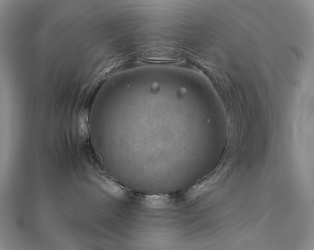 X0000112770240200908201514
