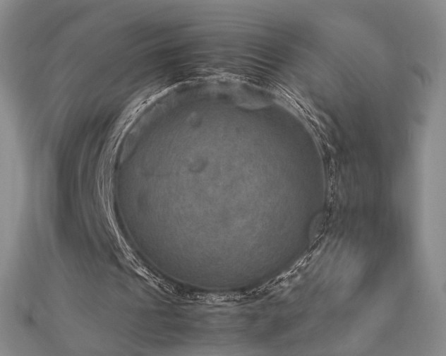 X0000112770241200908201513