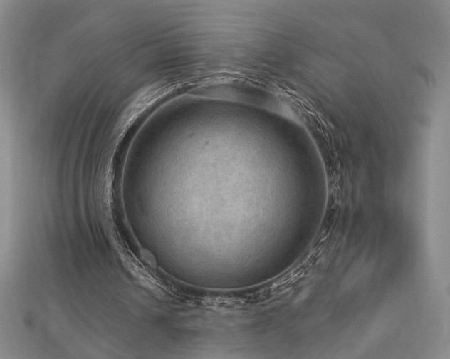 X0000112770242200908201513