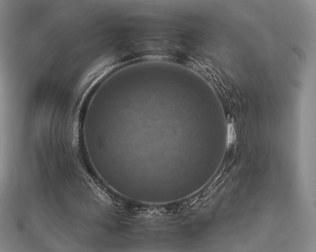 X0000112770243200908201513