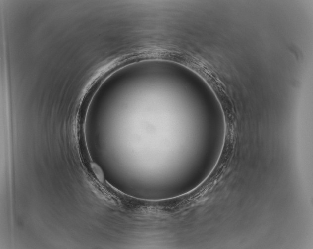 X0000112770244200908201513