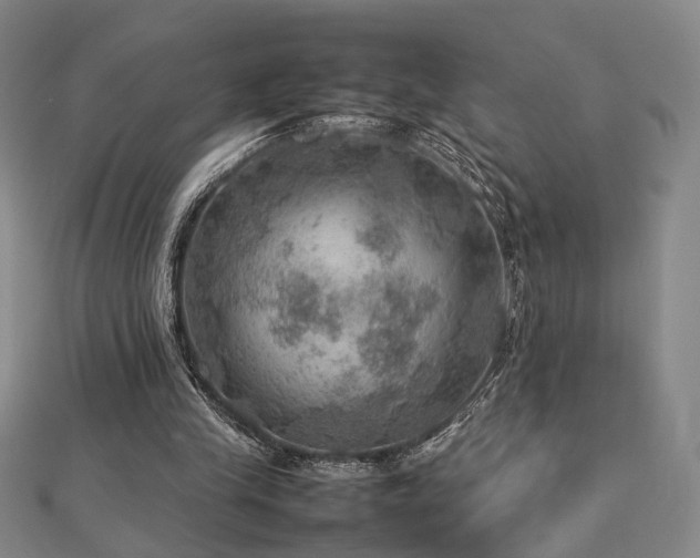 X0000112770245200908201513