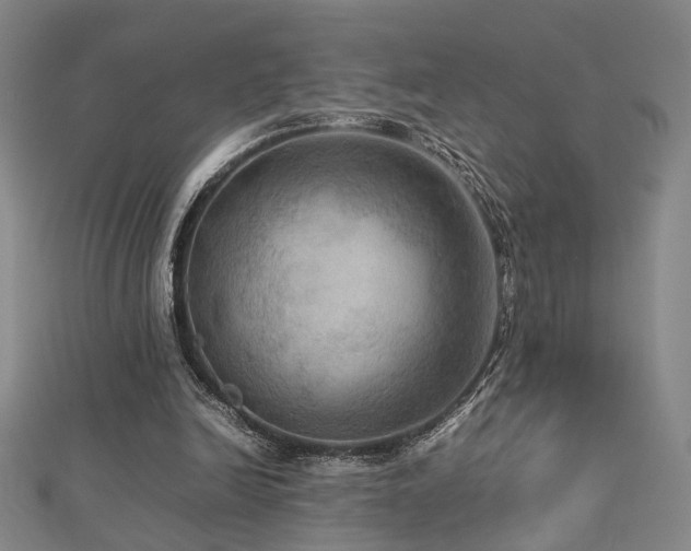 X0000112770246200908201513