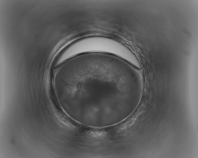 X0000112770247200908201513