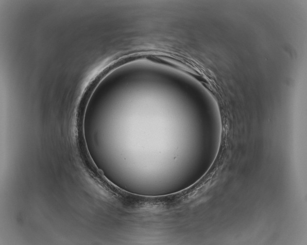 X0000112770248200908201513