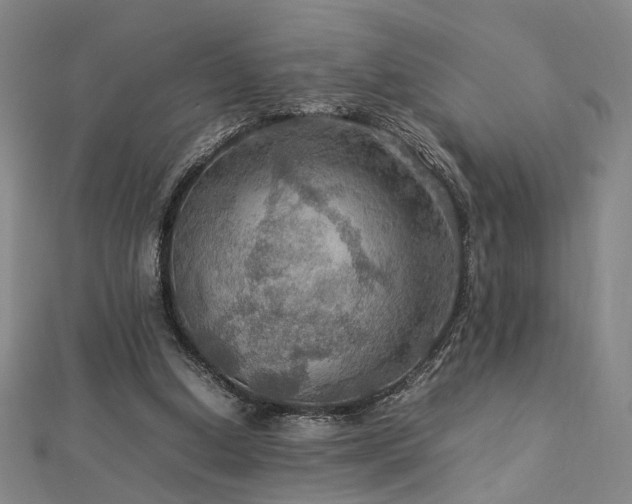 X0000112770250200908201513
