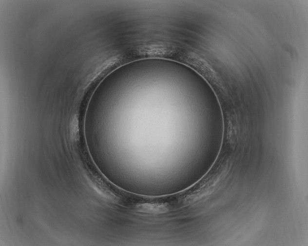 X0000112770251200908201513