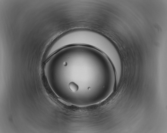 X0000112770252200908201513