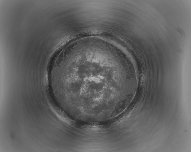 X0000112770254200908201513