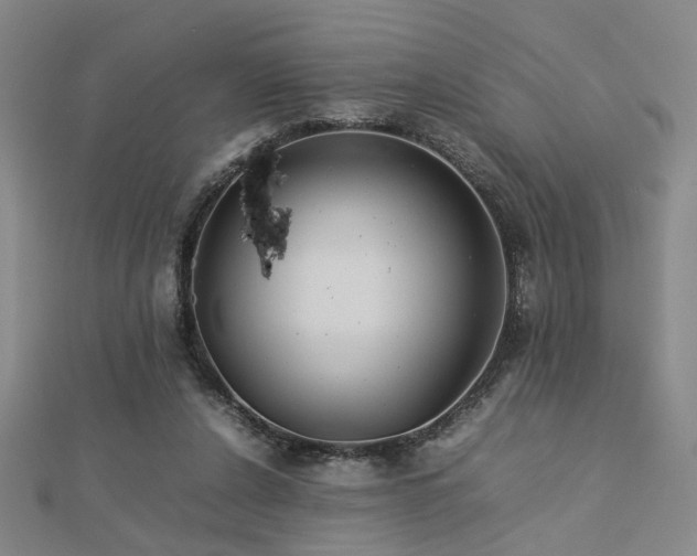 X0000112770256200908201513