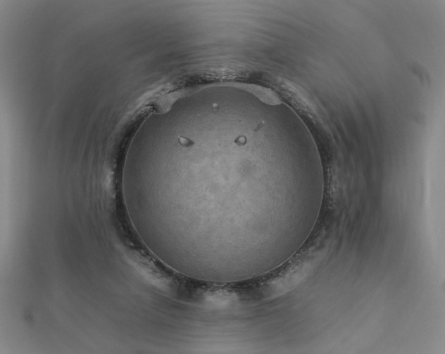 X0000112770258200908201514