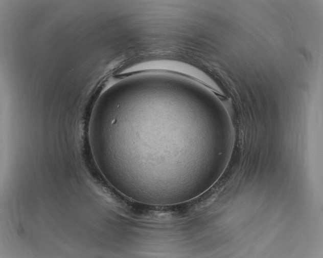X0000112770260200908201514