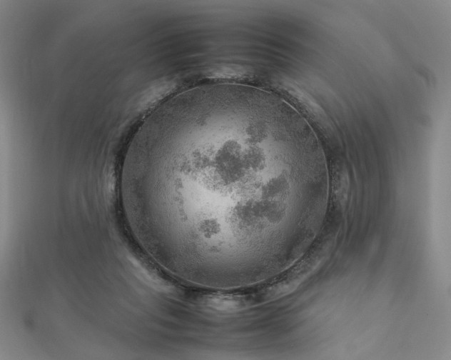 X0000112770261200908201514
