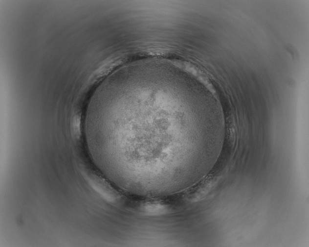 X0000112770262200908201514