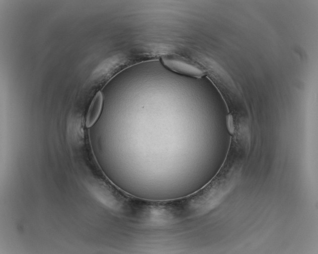 X0000112770264200908201514
