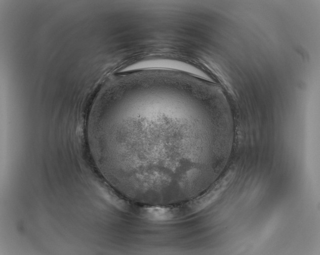 X0000112770265200908201514