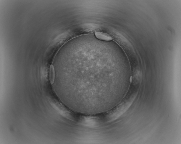 X0000112770268200908201514